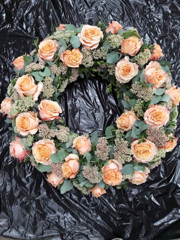 Apricot Rosen und Eucalypthus