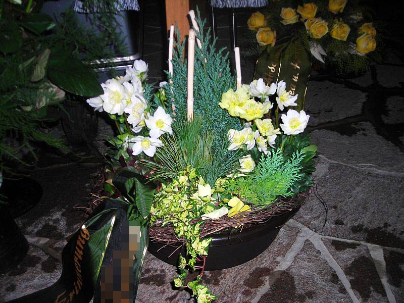 Bepflanzte Schale mit Christrosen