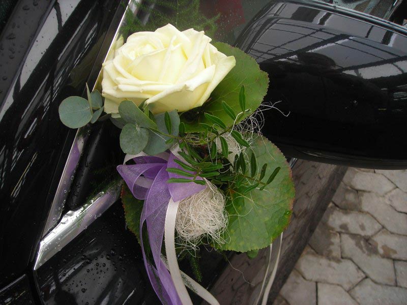 Blume am Spiegel