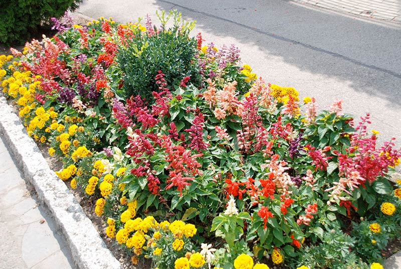Blumenrabatten 2002