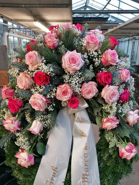 Paloma und pinke Rosen mit Schleierkraut winterlich