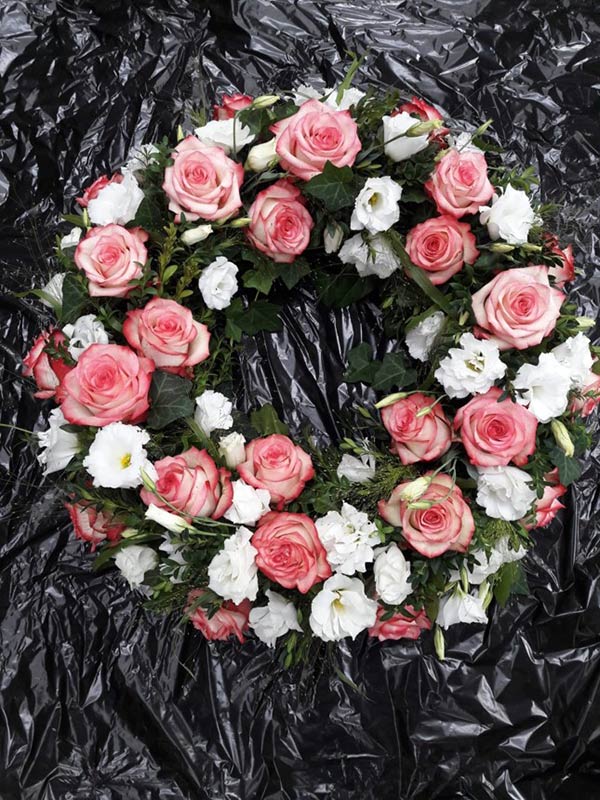 Rose-Weiß