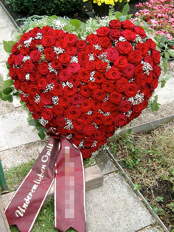 rote Rosen Kopf an Kopf 2