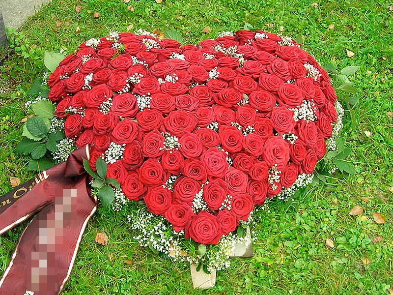 rote Rosen Kopf an Kopf