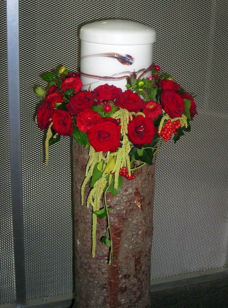 Rote Rosen mit abfließendem grün