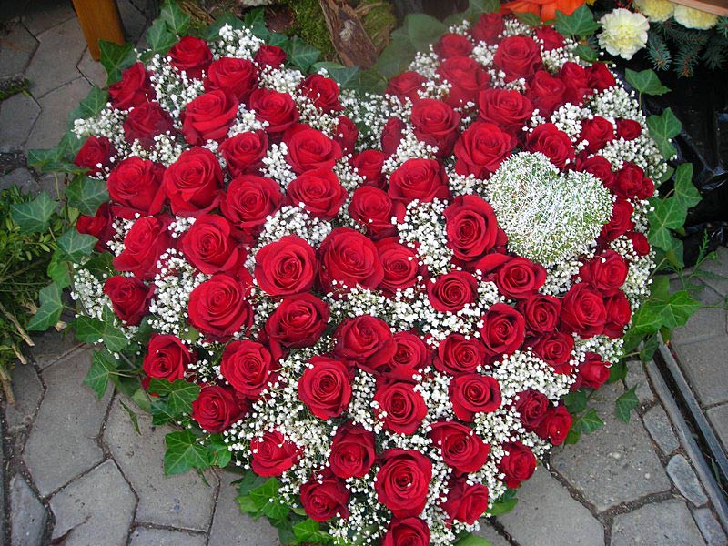 Rote Rosen mit Schleierkrautherz