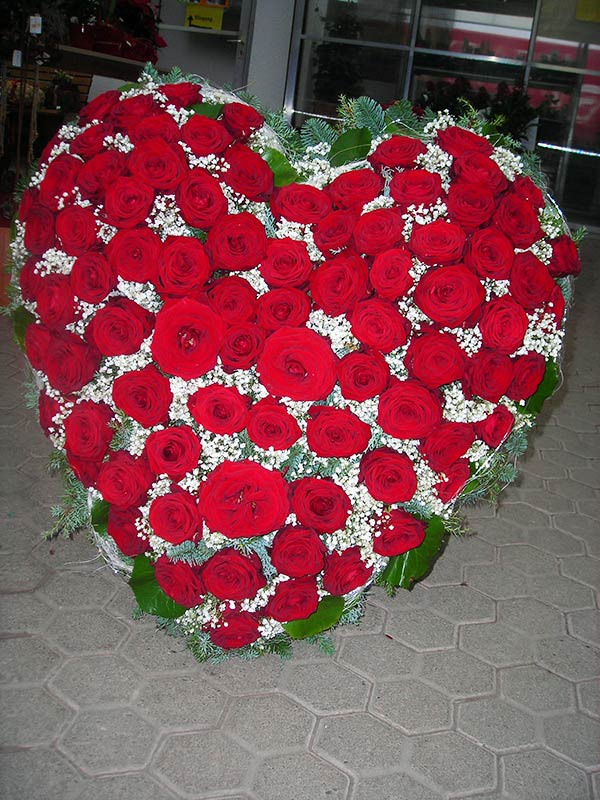 Rote Rosen und Schleierkraut