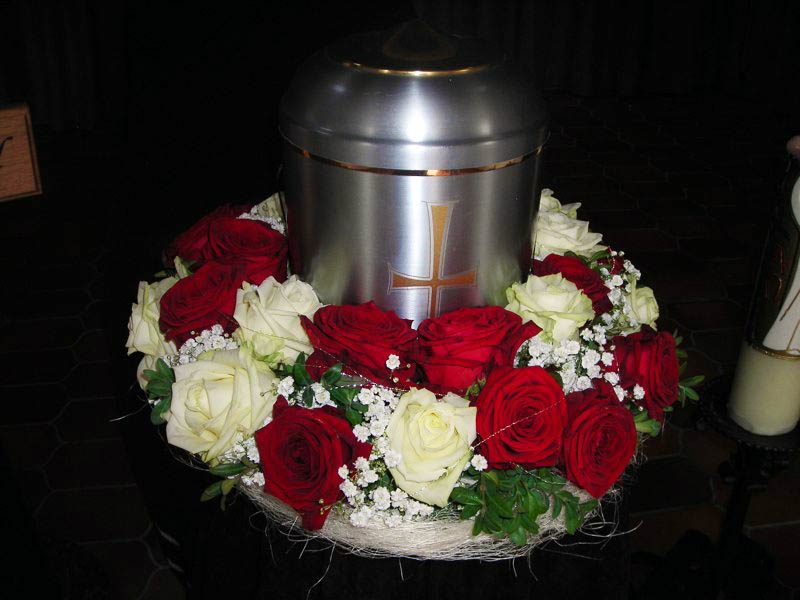 Rote und Weiße Rosen