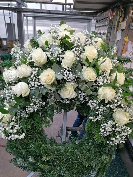 Weiße Rosen kompakt gesteckt mit Schleierkraut