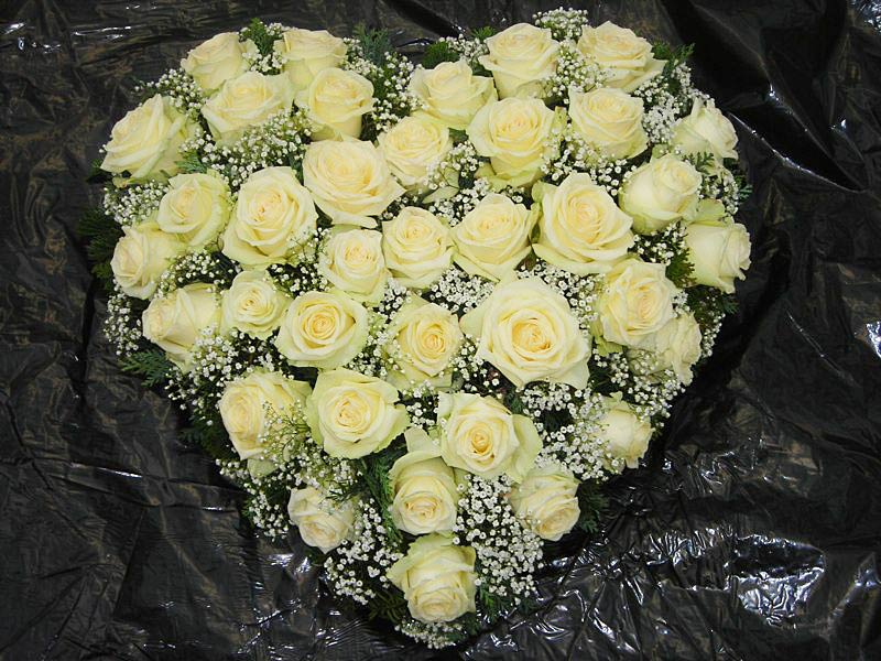 weiße Rosen und Schleierkraut