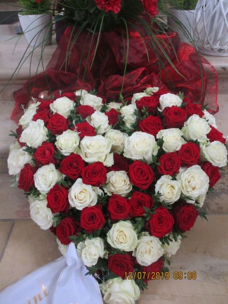 weiße und rote Rosen